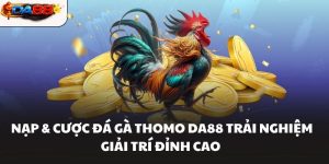 Nạp & Cược Đá Gà Thomo DA88 Trải Nghiệm Giải Trí Đỉnh Cao
