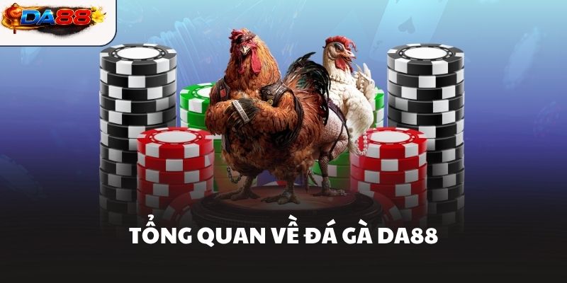 Tổng quan về Đá Gà DA88